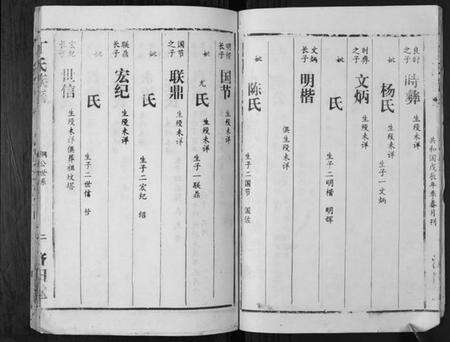 湖南丁氏族谱-丁氏族谱.pdf电子版预览图4