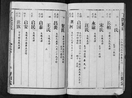 湖南丁氏族谱-丁氏族谱.pdf电子版预览图5