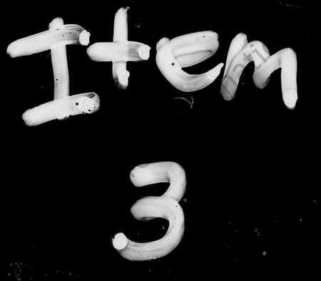 湖南丁氏族谱-丁氏族谱 [14卷,首2卷].pdf电子版缩略图