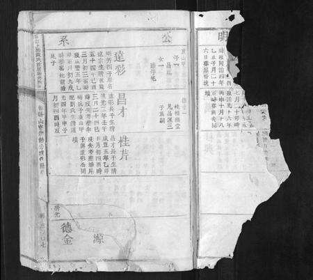 江西陈氏族谱-赣江上游陈氏首届联修族谱[不分卷].pdf电子版预览图1