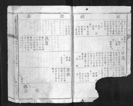 江西陈氏族谱-赣江上游陈氏首届联修族谱[不分卷].pdf电子版预览图2