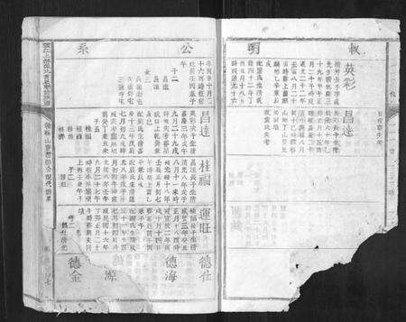 江西陈氏族谱-赣江上游陈氏首届联修族谱[不分卷].pdf电子版预览图3