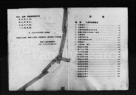 湖南董氏族谱-衡东县董氏华公派下惟直公房九修支谱 [10卷,首1卷].pdf电子版预览图4