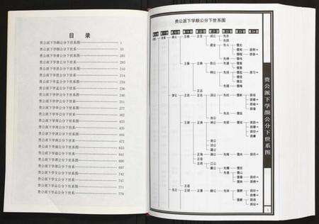 湖北陈氏族谱-牛公庄湖北仙桃越舟湖支系谱 湖北仙桃越舟湖.pdf电子版预览图2