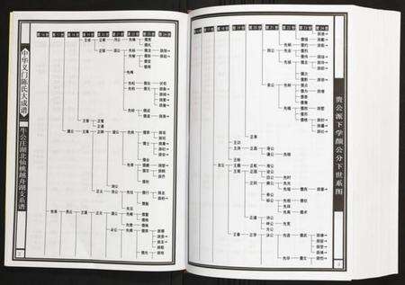 湖北陈氏族谱-牛公庄湖北仙桃越舟湖支系谱 湖北仙桃越舟湖.pdf电子版预览图3