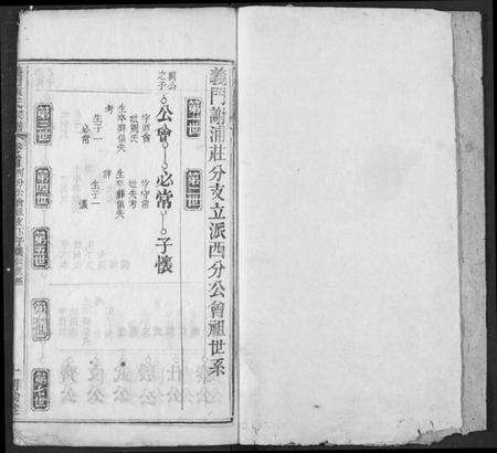 湖北陈氏族谱-义门陈氏宗谱.pdf电子版预览图2