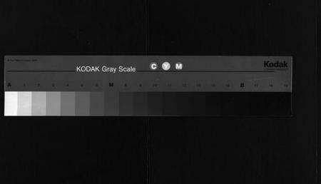 湖南杜氏族谱-杜氏通谱 [卷数不详].pdf电子版缩略图