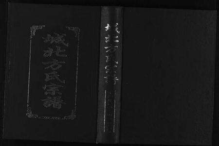 浙江方氏族谱-城北方氏宗谱 [不分卷].pdf电子版预览图1