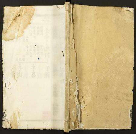 湖北陈氏族谱-义门陈氏宗谱.pdf电子版缩略图