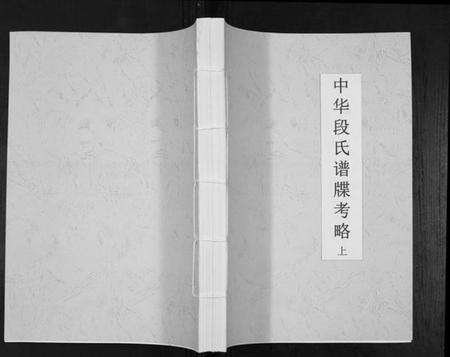 湖南段氏族谱-中华段氏谱碟考略.pdf电子版缩略图