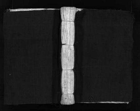 浙江吴氏族谱-埭川吴氏宗谱 [2卷].pdf电子版预览图1