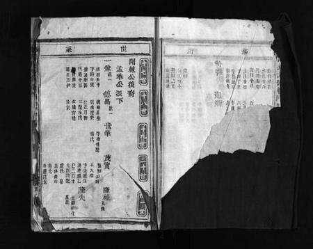 浙江吴氏族谱-埭川吴氏宗谱 [2卷].pdf电子版预览图2