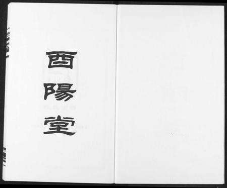 湖南段氏族谱-段氏族谱.pdf电子版预览图2