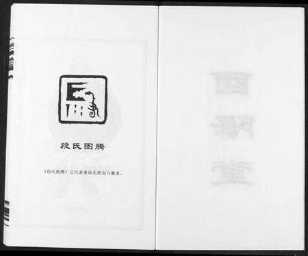 湖南段氏族谱-段氏族谱.pdf电子版预览图3