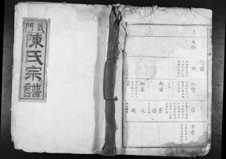 湖北陈氏族谱-义门陈氏宗谱[10卷首1卷].pdf电子版缩略图