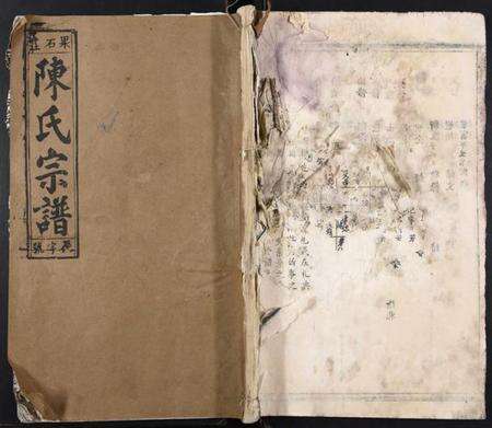 湖北陈氏族谱-义门陈氏宗谱[20卷].pdf电子版缩略图