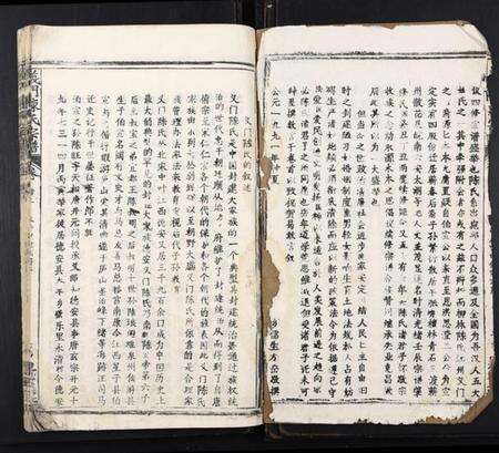 湖北陈氏族谱-义门陈氏宗谱[20卷].pdf电子版预览图2