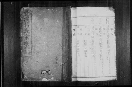 浙江吕氏族谱-壶溪吕氏宗谱 [残卷].pdf电子版预览图1