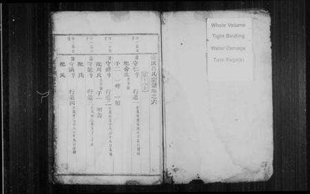 浙江吕氏族谱-壶溪吕氏宗谱 [残卷].pdf电子版预览图2