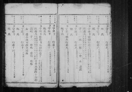 浙江吕氏族谱-壶溪吕氏宗谱 [残卷].pdf电子版预览图3