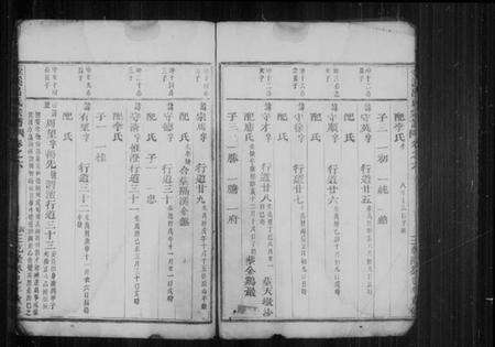 浙江吕氏族谱-壶溪吕氏宗谱 [残卷].pdf电子版预览图5