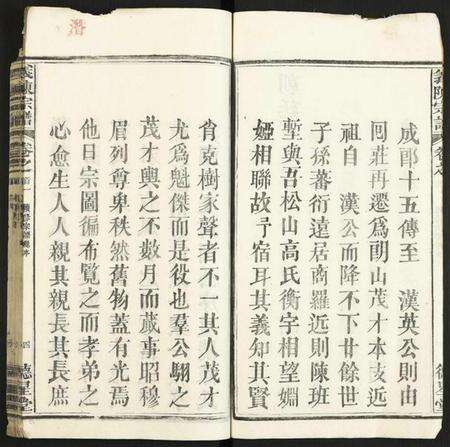 湖北陈氏族谱-义陈宗谱.pdf电子版预览图4