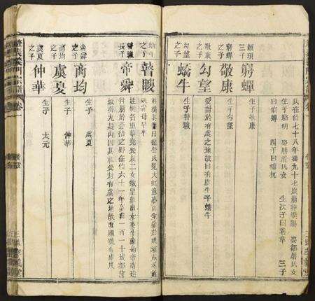 湖北陈氏族谱-[陈氏]旌表义门宗谱.pdf电子版预览图3