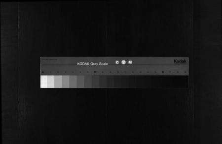 浙江吴氏族谱-大元吴氏西宅宗谱 [4卷].pdf电子版缩略图