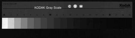 浙江王氏族谱-大塘王王氏宗谱.pdf电子版缩略图