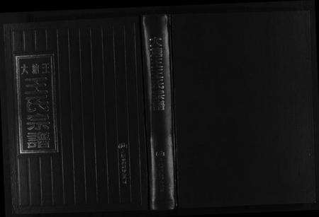 浙江王氏族谱-大塘王王氏宗谱.pdf电子版预览图1