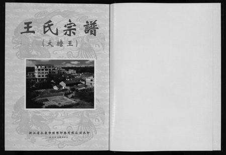 浙江王氏族谱-大塘王王氏宗谱.pdf电子版预览图2