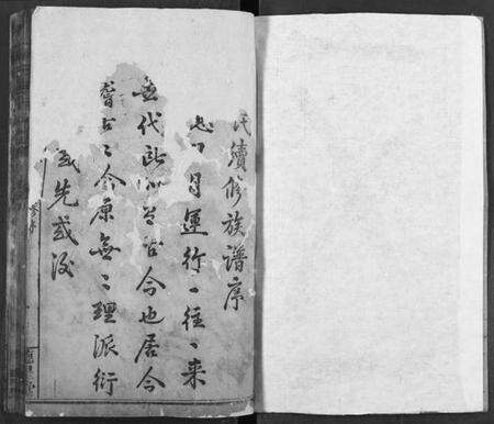 湖北陈氏族谱-陈氏宗谱.pdf电子版预览图1