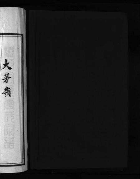 浙江李氏族谱-大茅岭李氏宗谱 [不分卷].pdf电子版预览图2