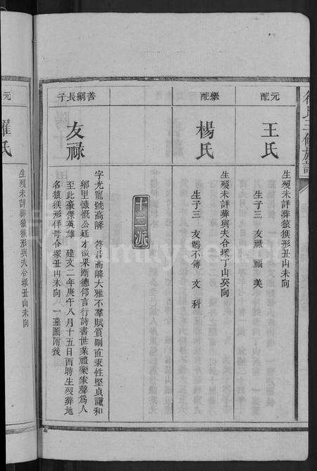 湖南符氏族谱-符氏三修族谱 [总卷数不详].pdf电子版预览图4