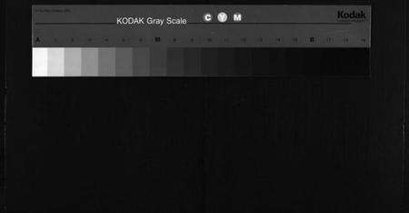 湖南符氏族谱-符氏九修族谱 [30卷].pdf电子版