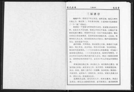 湖北陈氏族谱-陈氏宗谱.pdf电子版预览图2