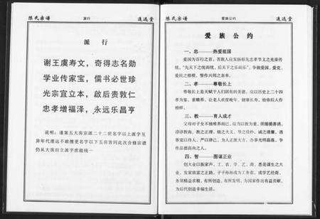 湖北陈氏族谱-陈氏宗谱.pdf电子版预览图5