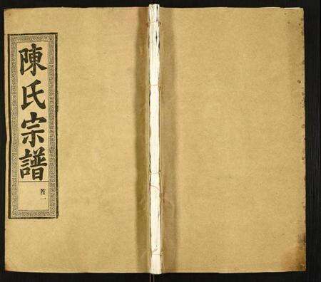 湖北陈氏族谱-陈氏宗谱.pdf电子版缩略图