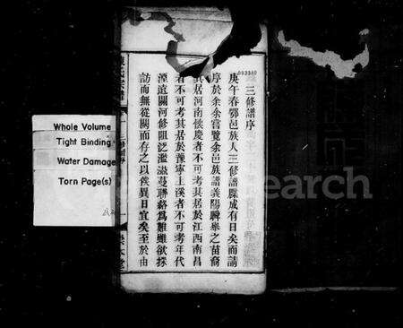 湖北陈氏族谱-陈氏宗谱 [15卷].pdf电子版预览图1