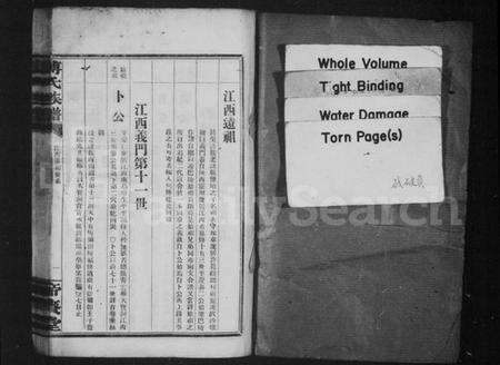 湖南傅氏族谱-傅氏族谱 [卷数不全].pdf电子版预览图2