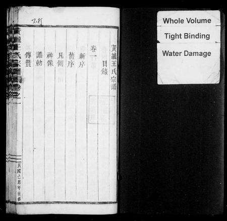 浙江王氏族谱-太原王氏宗谱[4卷].pdf电子版预览图3