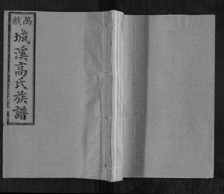 湖南高氏族谱-城溪高氏族谱[10卷].pdf电子版缩略图