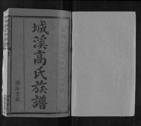 湖南高氏族谱-城溪高氏族谱[10卷].pdf电子版预览图1