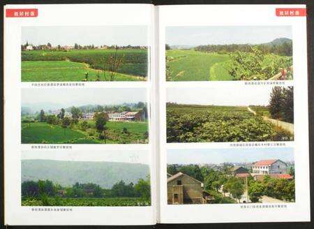 湖南高氏族谱-高氏族谱.pdf电子版预览图3