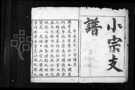 浙江史氏族谱-姚江半霖史氏小宗支谱 [9卷,首1卷].pdf电子版预览图4