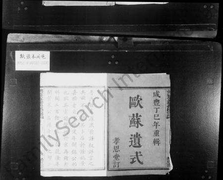 浙江鲁氏族谱-姚江景嘉桥鲁氏宗谱 [12卷].pdf电子版预览图2