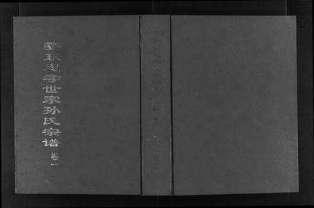 浙江孙氏族谱-婺东忠孝世家孙氏宗谱 [3卷].pdf电子版预览图1