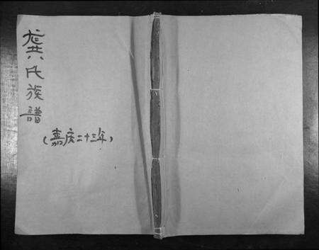 湖南龚氏族谱-龚氏族谱[不分卷].pdf电子版缩略图