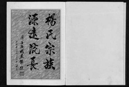 浙江杨氏族谱-婺清溪杨氏宗谱 [4卷].pdf电子版预览图2