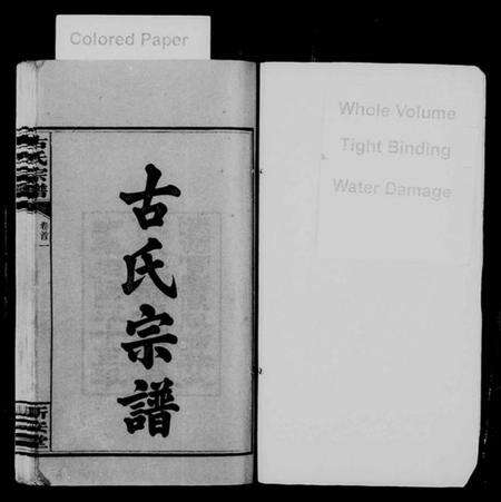 湖南古氏族谱-古氏宗谱 [8卷,首4卷].pdf电子版预览图2